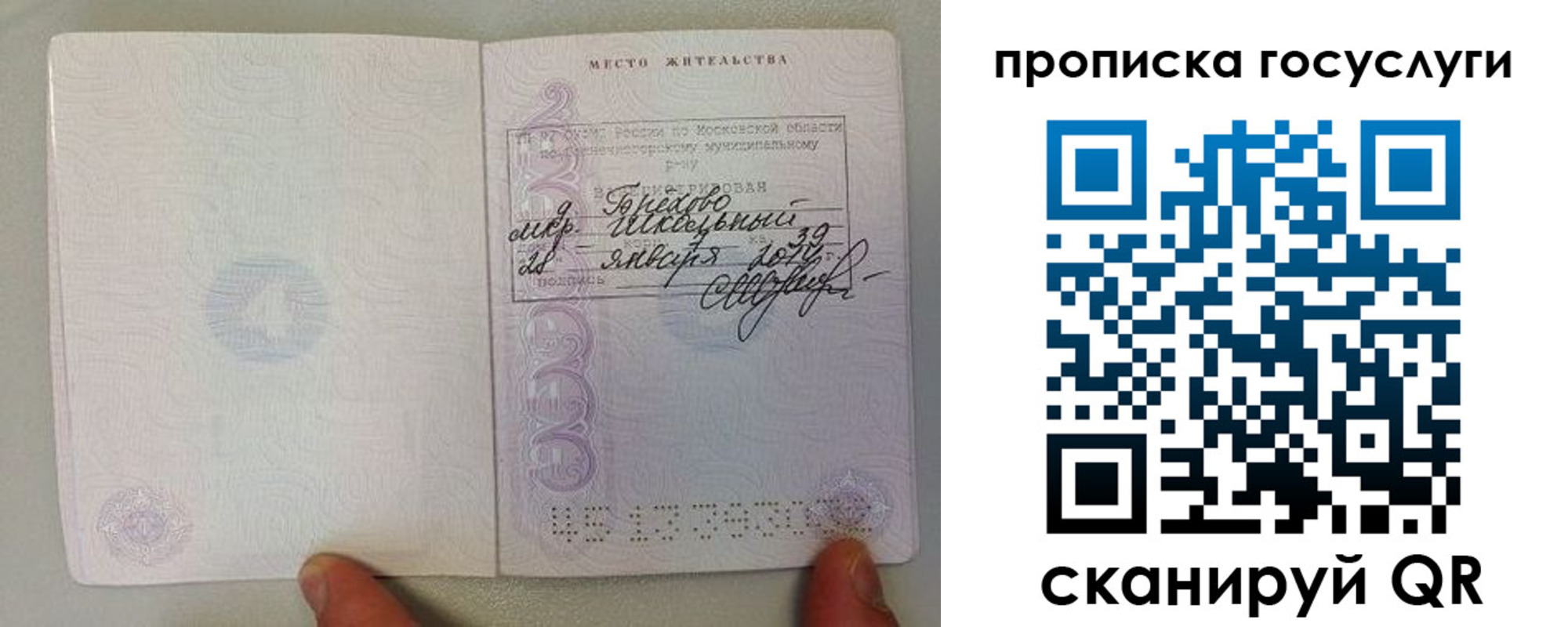 временная регистрация для всех в Дальнегорске